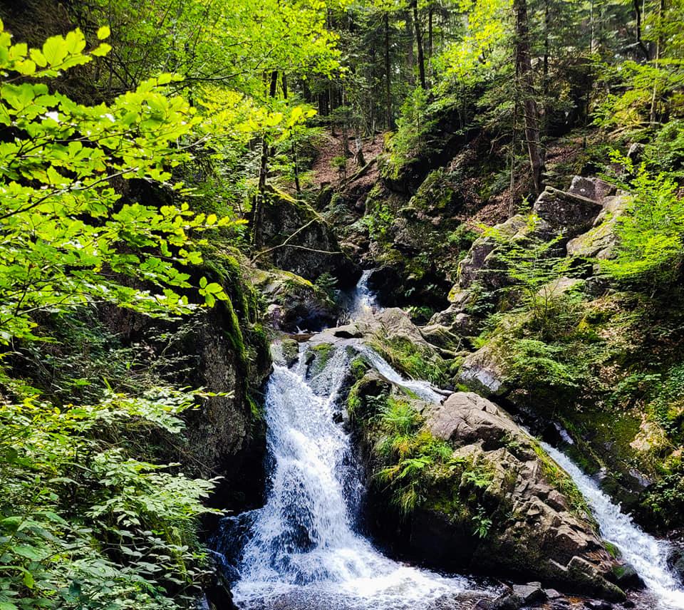 cascade